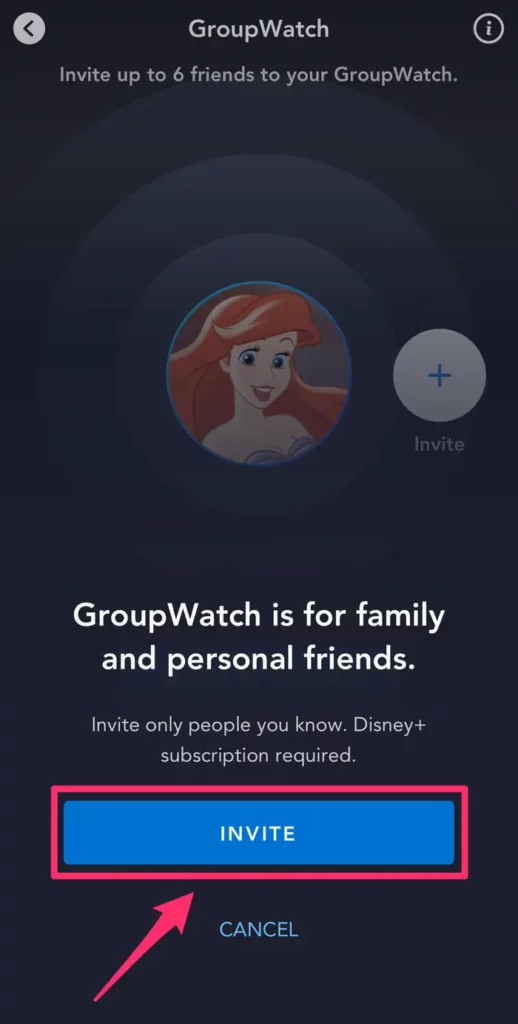 Ver Disney Plus amigos