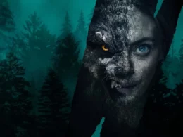 Excelentes películas muy parecidas a Viking Wolf