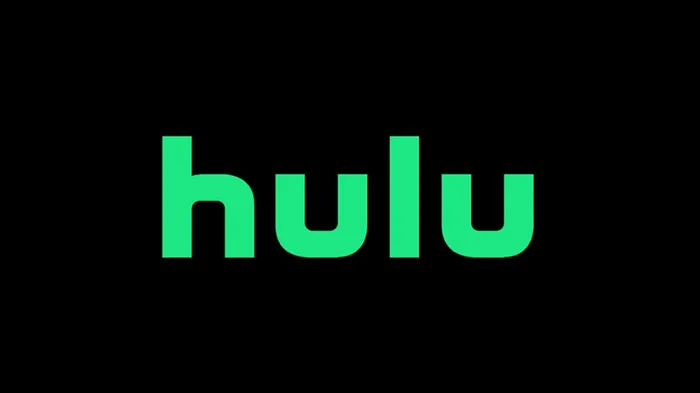 Ver Sully online en Hulu.